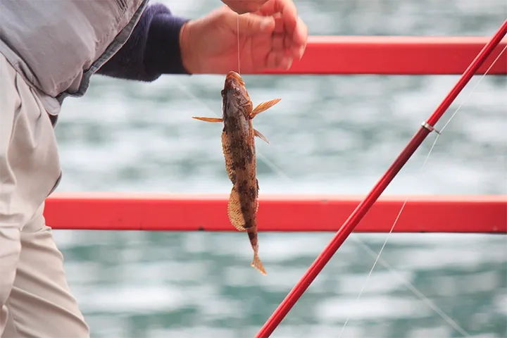 ビッグボーン商事株式会社 タイム事業部:商品情報と釣果情報の発信